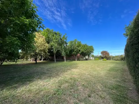 Terreno en Venta 62  mts Fondo