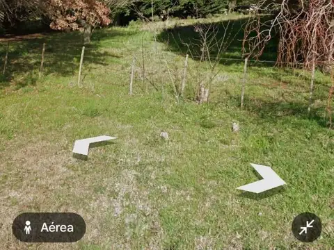 Los 100