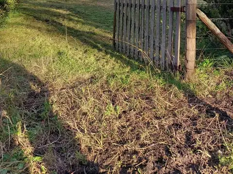 Terreno en Venta 20  mts Frente