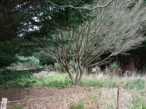 Terreno / Lote en venta de 1030m2 ubicado en Sierra de los Padres