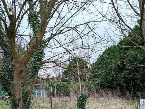 Terreno en Venta de 1030,0 m2