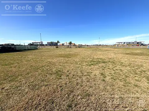 Terreno en Venta 41  mts Fondo