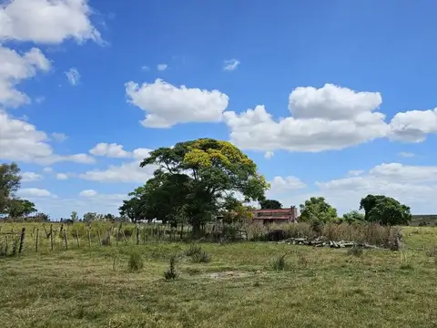 CAMPO EN VENTA- 948 HECTAREAS 6430m2