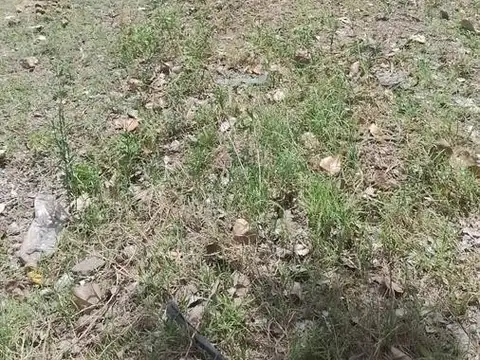 Terreno en Venta 25  mts Fondo