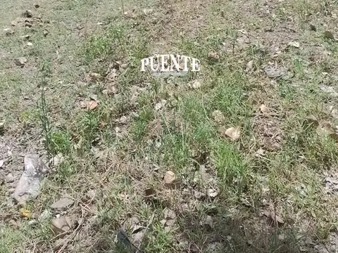 Terreno en Venta 25  mts Fondo