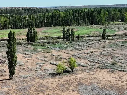 Ruta 22