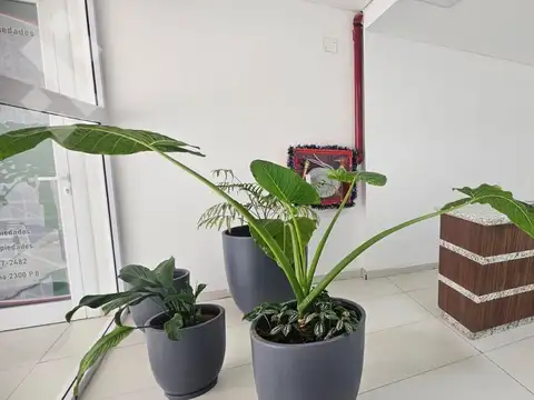 Departamento en Alquiler en Neuquén, $ 1.000.000