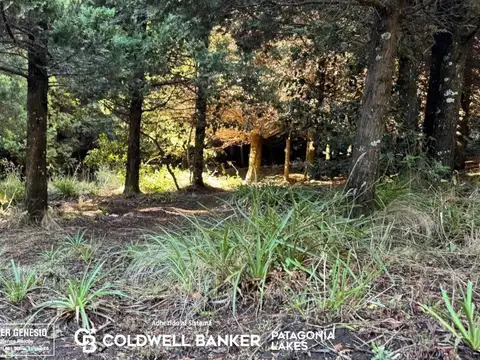 VENTA Lote  San Martin de los Andes 2500m2 subdivisible con vistas B° Handel