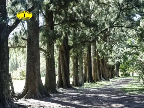 3038HP- VENTA chacra 6has OPEN DOOR, Luján MB casa principal