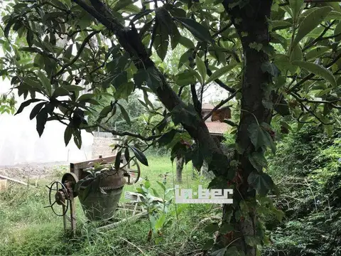 Terreno en Venta en Ranelagh, USD 52.000