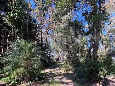 CASA A DEMOLER EN HERMOSO LOTE