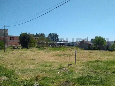 Lote en Venta en San Carlos