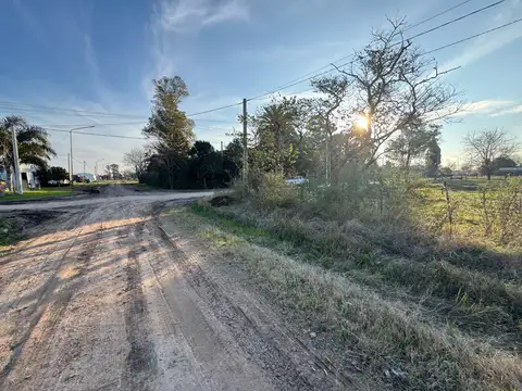 Terreno en Venta de 7000,0 m2