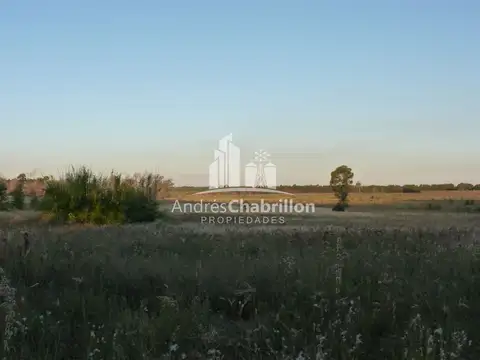 Campo De 50 Ha. En Zona De Osvaldo Magnasco
