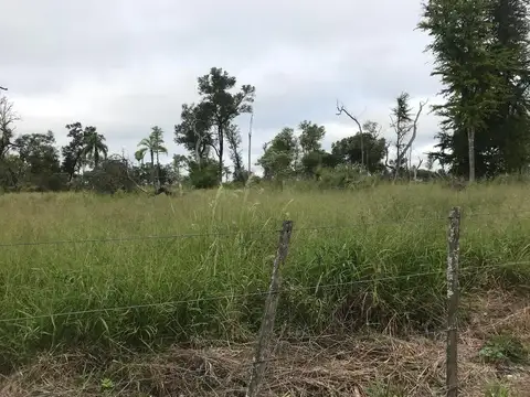 Campo en Venta Ganadero