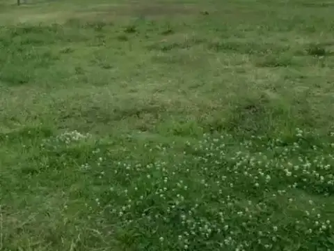 B° Santa Sofia, Av. Parque 4500