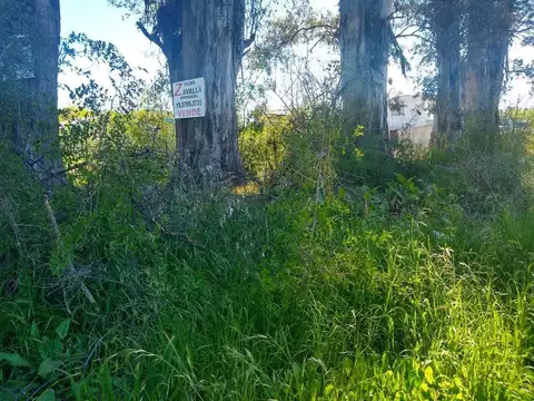 Terreno en Venta de 650,0 m2