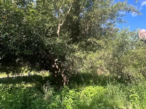 Terreno en Venta en Villa del Totoral, USD 15.000