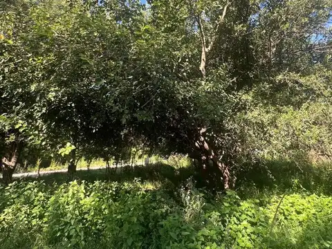 Terreno en Venta de 645,0 m2