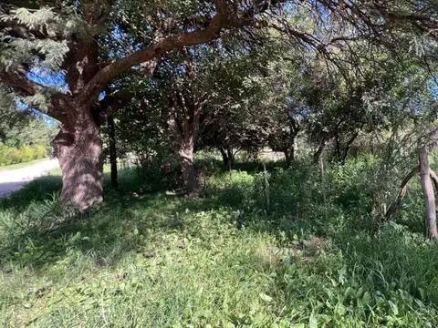 Terreno en Venta de 645,0 m2