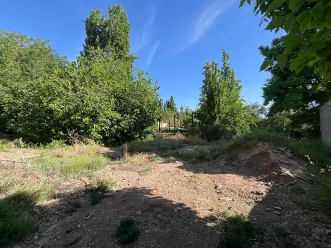 VENTA DE TERRENO EN BERMEJO GUAYMALLÉN, MENDOZA