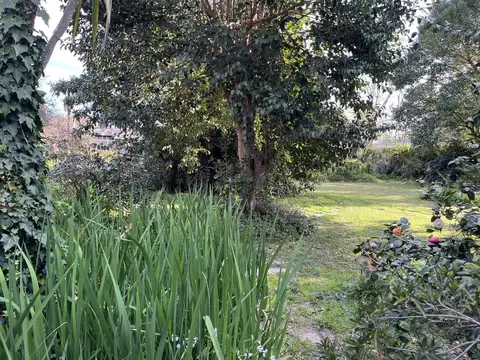 Terreno en venta. Villa Elisa