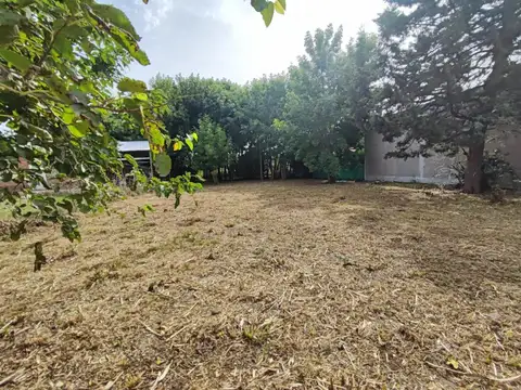 Lote en Los Pioneros