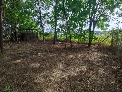 Lote en Los Pioneros