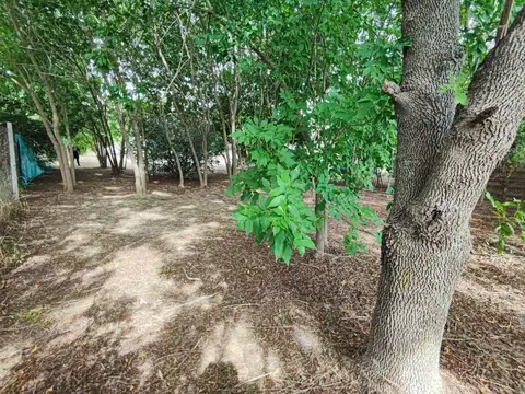 Terreno en Venta en Los Pioneros, USD 39.000
