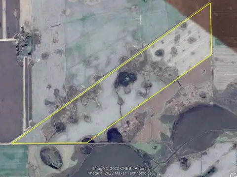 CAMPO MIXTO EN VENTA EN VEDIA 130 HECTAREAS