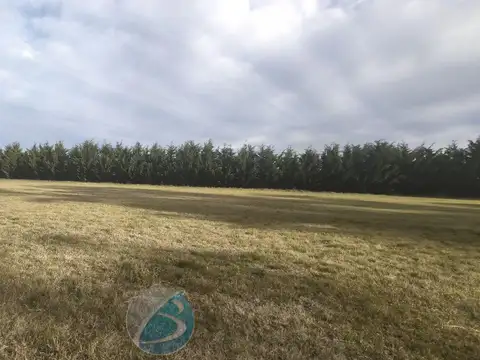Terreno en Venta de 831,0 m2