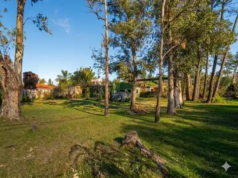 Venta Terreno 991 m2 con 2 Casitas, El Pinar Sur