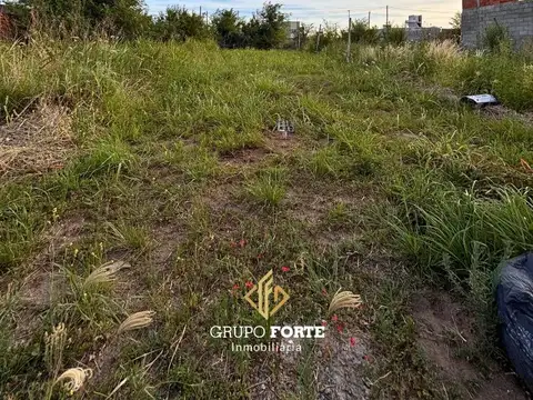 Lote con escritura en Argüello