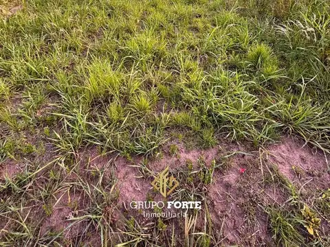 Caídos Por La Patria