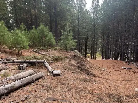 Terreno en Venta en San Martin de los Andes, Lácar