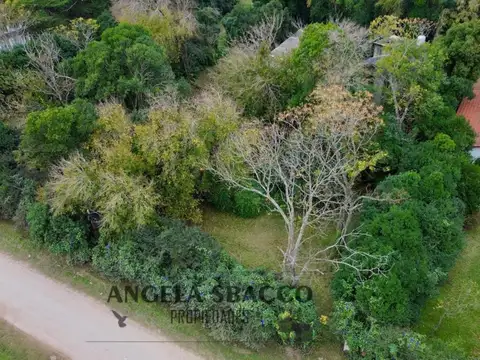 Hermoso Terreno Arbolado en Jularo.