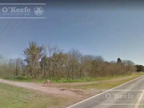 CAMPO de 34 HAS CON GRAN POTENCIAL DE DESARROLLO SOBRE RUTA 41 – GENERAL BELGRANO