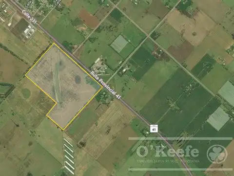 CAMPO de 34 HAS CON GRAN POTENCIAL DE DESARROLLO SOBRE RUTA 41 – GENERAL BELGRANO