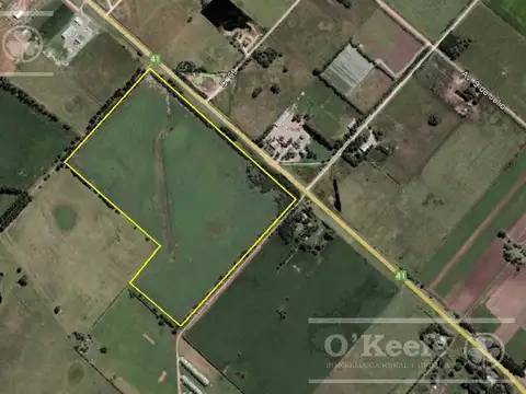 CAMPO de 34 HAS CON GRAN POTENCIAL DE DESARROLLO SOBRE RUTA 41 – GENERAL BELGRANO
