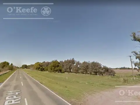 CAMPO de 34 HAS CON GRAN POTENCIAL DE DESARROLLO SOBRE RUTA 41 – GENERAL BELGRANO