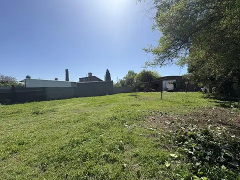 Luzuriaga (227) e/ Cardoner y Angueira