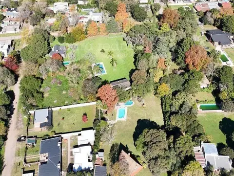 AVELLANEDA 800