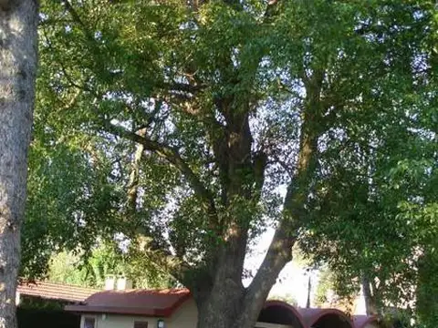 Casa en Venta 20 años