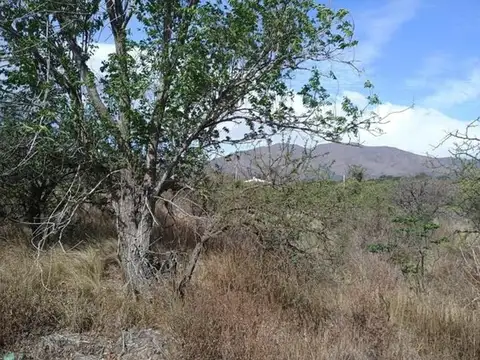 Rio Limay Esquina Rio CarcaÑara 110