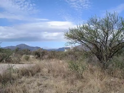 Terreno en Venta de 980,0 m2