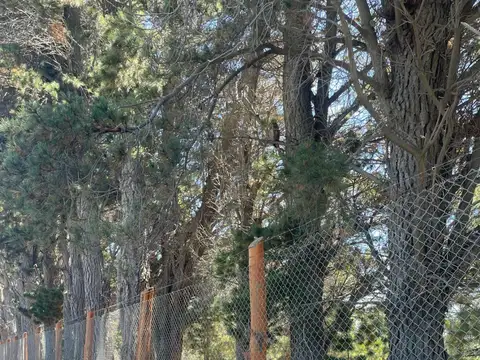 Terreno en Venta de 825,0 m2