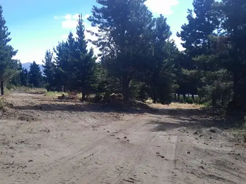 Con-Con y Ruta 40 100