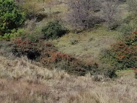 Galpon en Venta en Potrero De Garay, USD 339.000