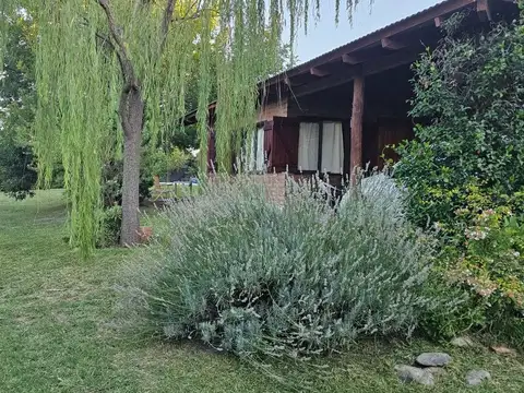 Las Acacias 100