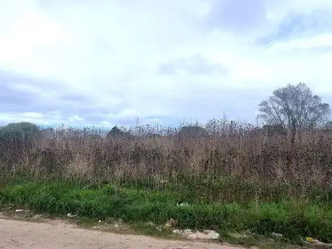 VENTA HECTAREA 10.005M2 DIF USOS ANT. ARGENTINA